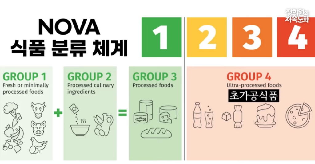 NOVA 식품 분류 체계란?